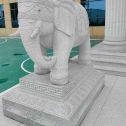丽江 白麻花岗岩动物异形石雕-大象