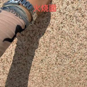 丽江黄金麻火烧面